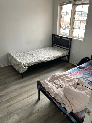 shared room available for rent in Cambridge Image# 1