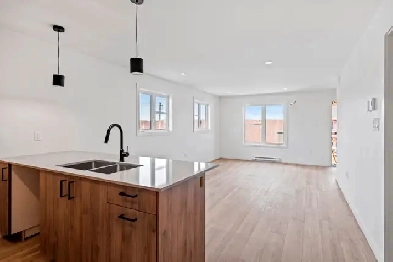 2 bedroom   2 bath Apartment Image# 3