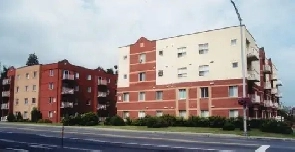 Beau 3 1/2 Image# 1