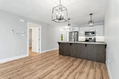 ALL INCLUSIVE 2 bed   1 bath Apartment Image# 3