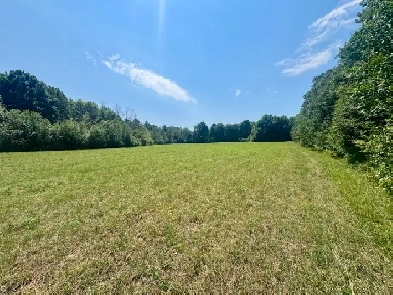 Stunning 22 acre building lot Image# 10