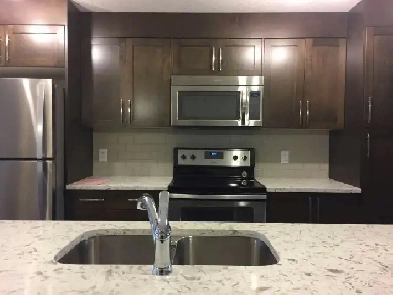 ONE MONTH FREE! 2b Townhouse near South Health Campus Hospital Image# 2