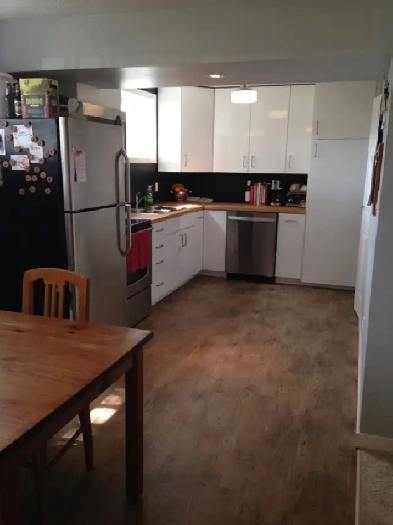 Basement Suite For Rent, Bright and Renovated Image# 1