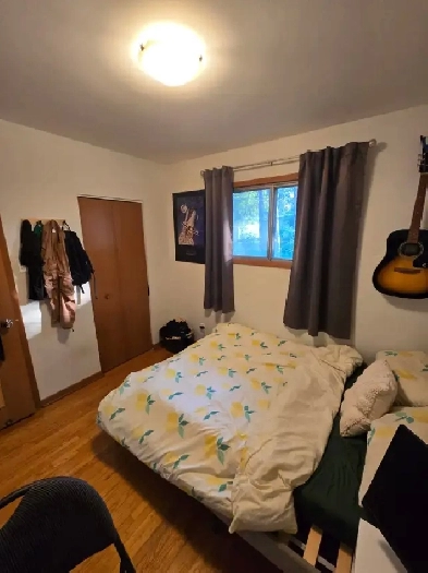 Room for Rent – Walking Distance to U of M Image# 2
