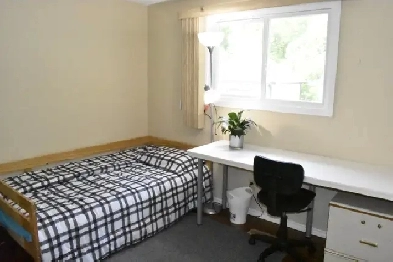 Clean & Quiet House Near UWaterloo Image# 5