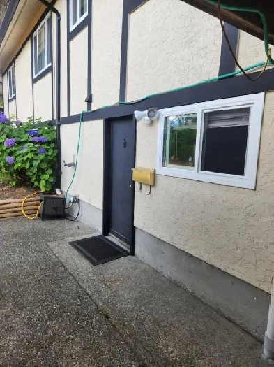 Bright above ground 1 bedroom suite for rent in Strawberry Vale Image# 1