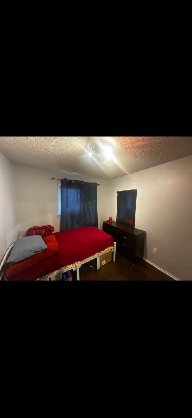 Private furnished room for rent in brampton 600$ Image# 2