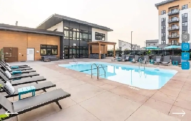 Roommate Wanted for Modern Apartment with Pool in Sherwood Park! Image# 3