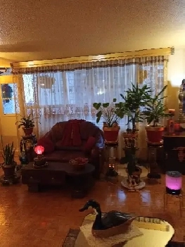 Nice,clean room -Etobicoke(West Mall and Bloor) Image# 3
