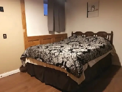 clean quiet full function rooms for rent Image# 2