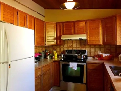 clean quiet room for rent female only Image# 4