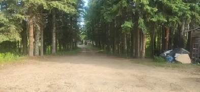 5 acres close to Leslieville, Alberta Image# 1