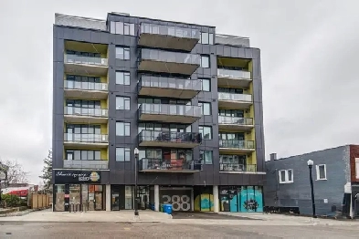 Beautiful 1 Den In Downtown Kitchener Image# 3