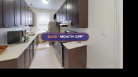 Apartment for Rent at King Edward Avenue, Sandy Hill Image# 8