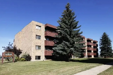 Studio Raven at Cedarcrest Manor - First and Last Month Rent Fre Image# 1