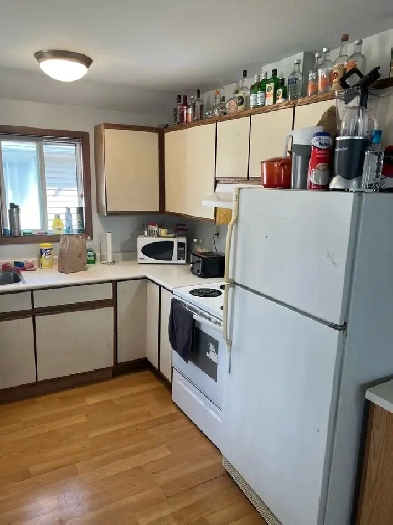 Rooms for rent 2 mins from University of Windsor Image# 1