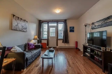 Completely renovated 4 1/2 Downtown Metro Atwater August 1st Image# 3