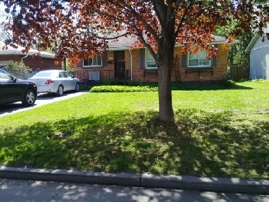 Avg$700, 5bd 2 bth House, Walk to Algon.College, Student Welcome Image# 10