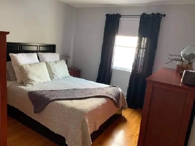 Logement 4 1/2 à louer. Montréal, Mercier-Est. Image# 1