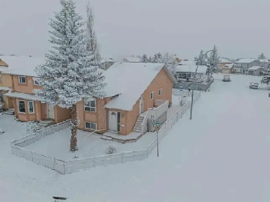 3 Bedroom 1.5 bathroom House for rent in Martindale Image# 8