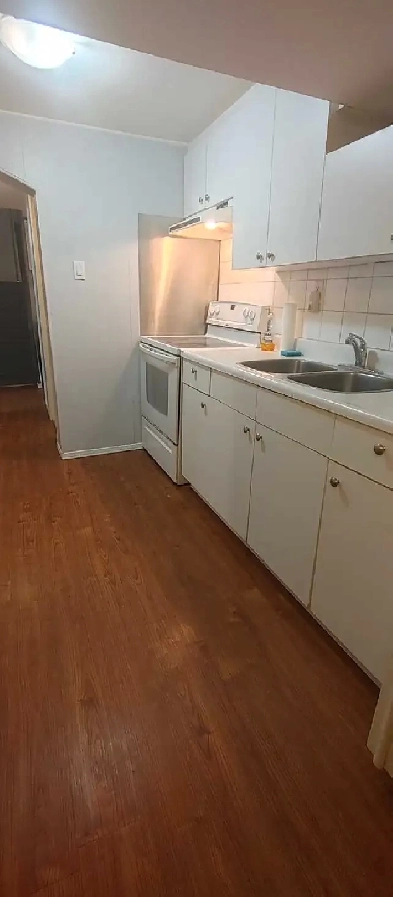 Room for Rent - Young professionals Image# 3