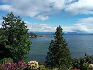 3 Bedroom, Ocean Front Home off Hammond Bay Rd with Beach Access Image# 4