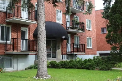 4 1/2 Université de Montréal Image# 1