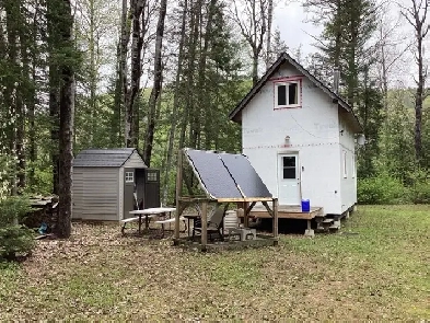 Off grid cabin on three acres of land Image# 5