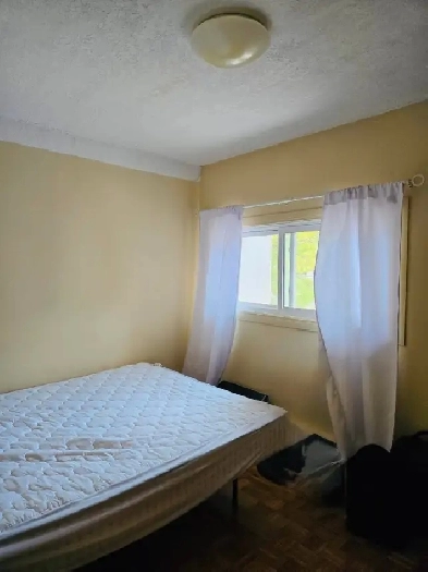 Master Bedroom & Study in Quiet Female Home | Near UofG Image# 7