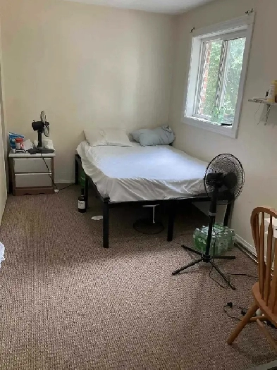 Large Private Room for Rent Image# 4