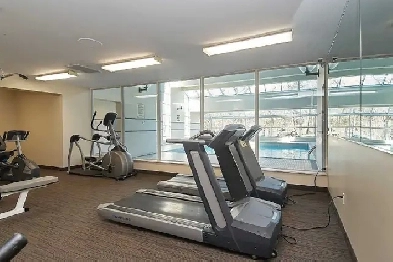 Furnished, Bright  Apartment Bedroom Near UTSC Centennial Image# 5