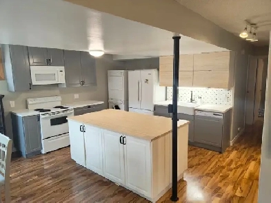 Furnished Basement Image# 6