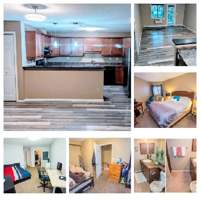 2Bdrm Den/2Bath: Utilitied included Image# 1