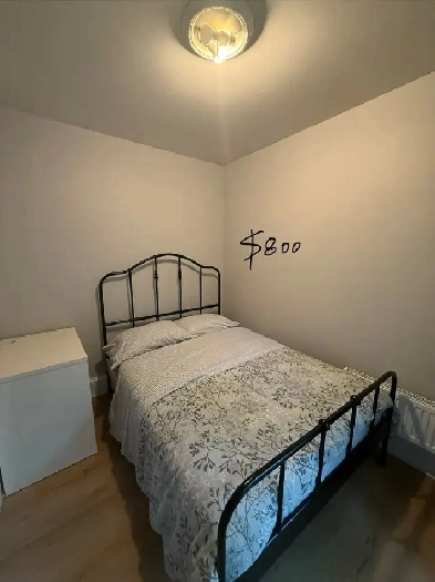 room for rent near Kensington Market Image# 1