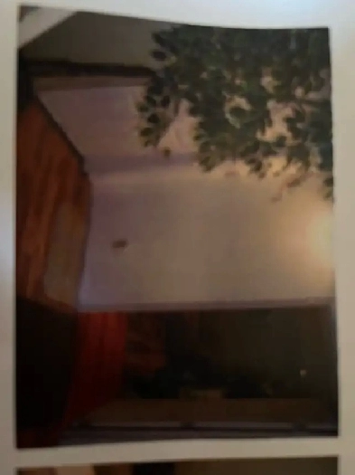 BASEMENT SUITE FULLY FURNISHED FOR AUGUST1/25 Image# 4