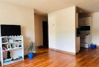 1 bedroom apartment Image# 1