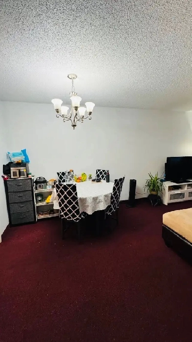 ⚡️ Hot Deal! 3.5 Apartment in Downtown for just $1,265/mo Image# 16