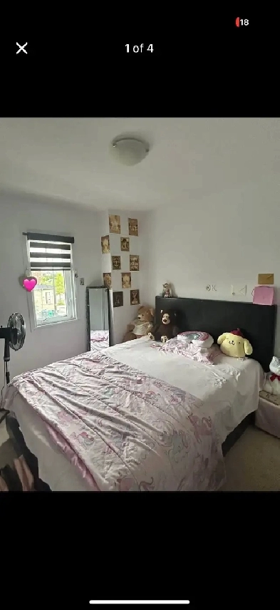 Private and Sharing room Image# 4