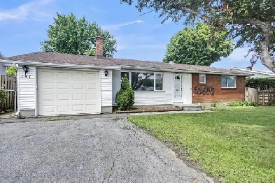 FOR SALE: 147 David Dr (Detached Bungalow) Image# 8