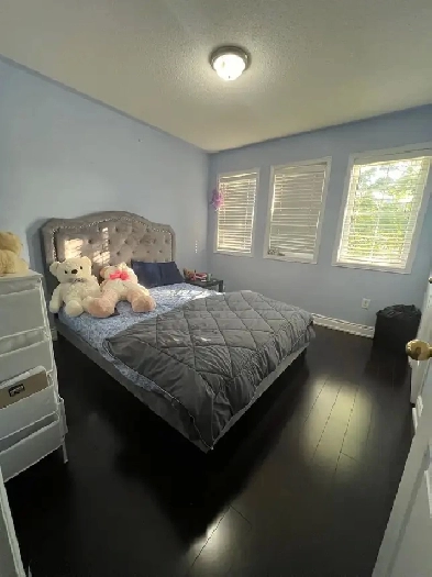 Available - 2 furnished bedrooms Image# 3