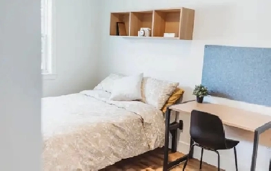 Roommate needed Image# 5