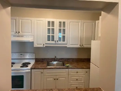 Ground floor 2 bedroom plus den in Christian Seniors Co-Op Image# 6