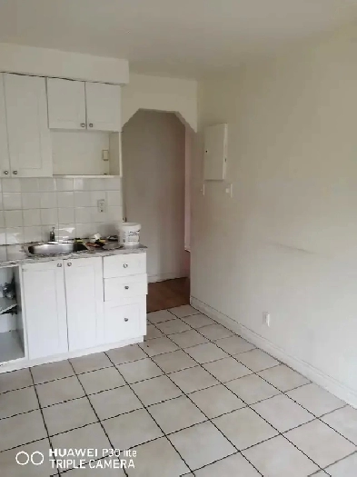 appartement 3 et demi Montréal Image# 1