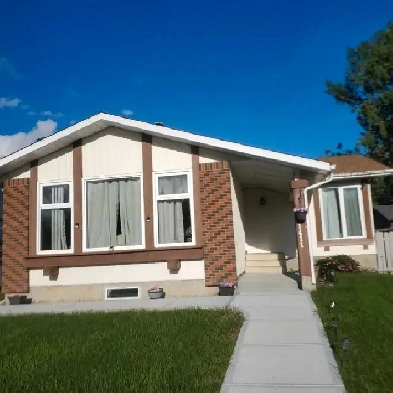 Spacious 2 Bedroom Basement Suite in Quiet Sakaw, Millwoods Image# 4