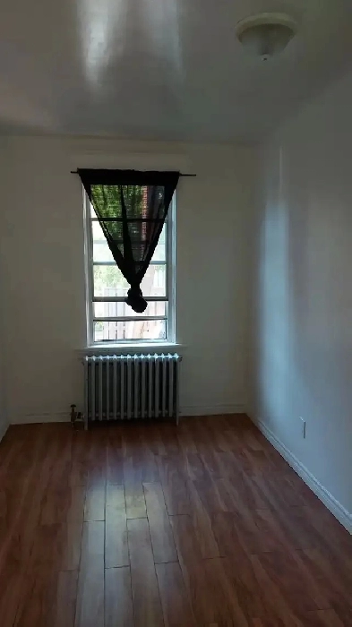 Room for Rent Danforth East Image# 3