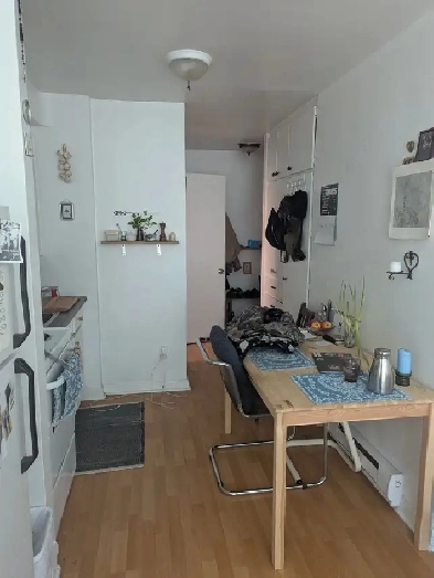 Sunny spacious studio in Rosemont - Aug 1 lease transfer Image# 5