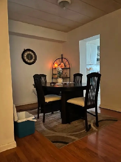 One bedroom available Aug 1st Image# 4