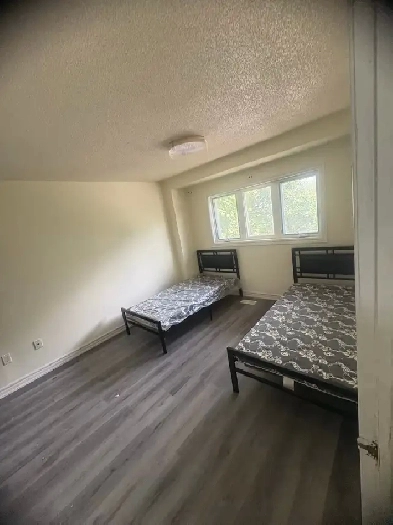 Room for Rent Image# 3