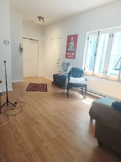 APPARTEMENT SPACIEUX & TRES CALME Image# 3