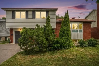 FOR SALE - Fully Renovated Detached Home in Alta Vista Image# 8